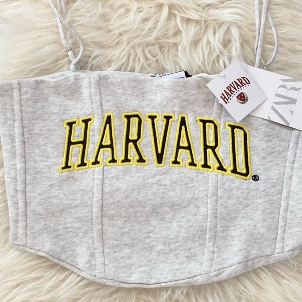 Zara x Harvard Corset Style Soft Knit Crop Top w/Side Boning - Picture 4 of 12